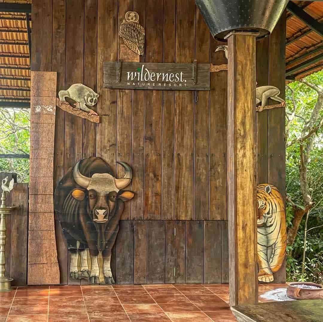 Luxury resort in Goa with palm trees and pool