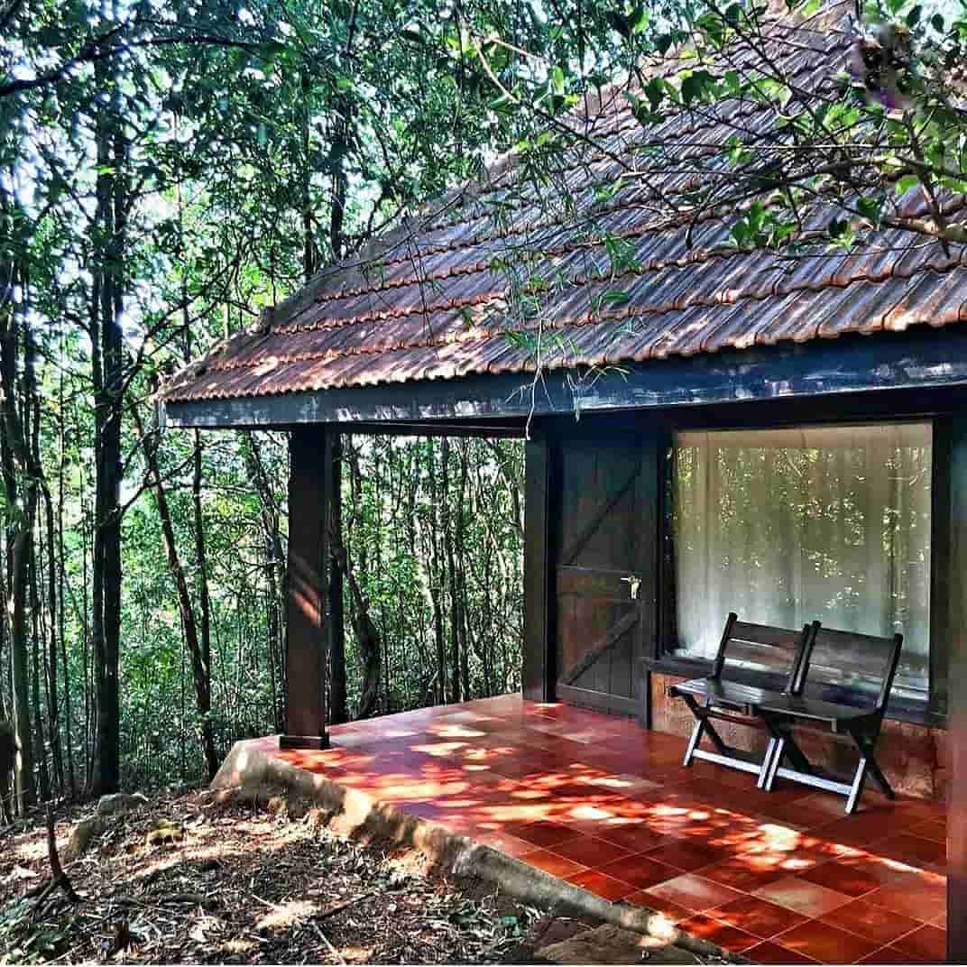 Forest View Cottage
